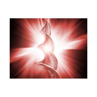 Can You Tell Me Where Exactly God Is?