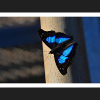 Are You Dying To Manifest Your Life?