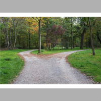 Are You Stuck At The Fork In The Road