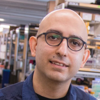 RMT Podcast #238 – Mo Ebrahimkhani