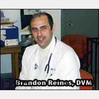 RMT Podcast #91 – Brandon Reines, DVM