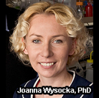 RMT Podcast #88 – Joanna Wysocka, PhD