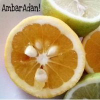 Dodicesima puntata (Detta la 13)