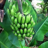 Episode 87: Pete Got Got