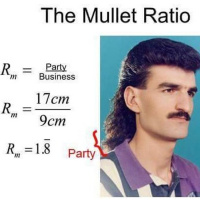 Episode 78: What If a Mullet Is Like a Hoverboard?