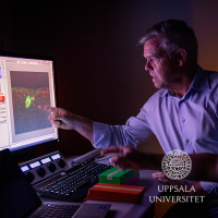 #102 Förstärkta immunceller bekämpar cancer