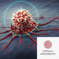 #82 Målsökande läkemedel mot cancer