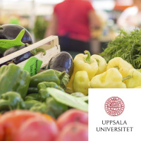 Hållbar konsumtion – hur gör man?