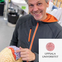 #48 Den fantastiska hjärnan