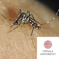 #95 Hotet från myggorna