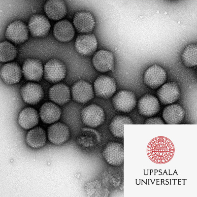 Forskarpodden Jonas Och Niklas Klampar In I Forskarvärlden