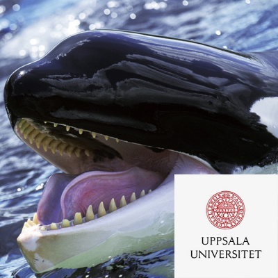 Forskarpodden Jonas Och Niklas Klampar In I Forskarvärlden