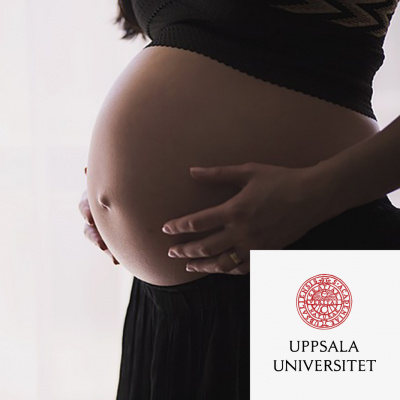 Forskarpodden Jonas Och Niklas Klampar In I Forskarvärlden