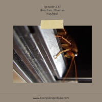 Episode 233”Roaches…..Buenas Noches”