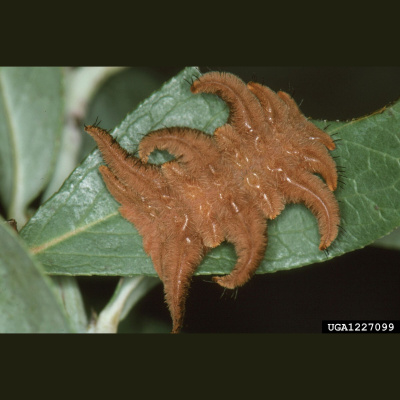 Naturenotes With Rudy Mancke