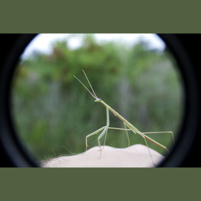 Naturenotes With Rudy Mancke