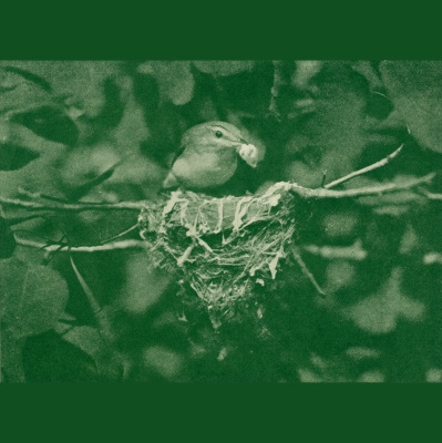 Naturenotes With Rudy Mancke