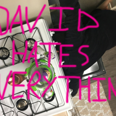 David Hates Everything