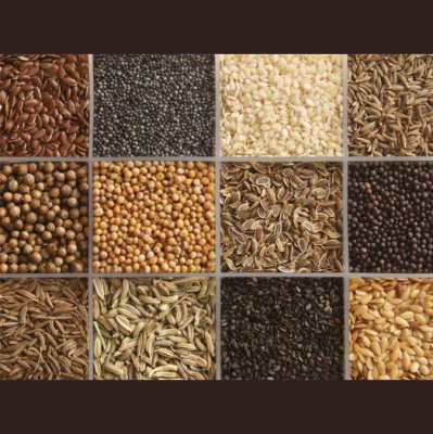 Mitos Y Verdades De La Comida