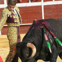 ¿Tienen derechos los animales?