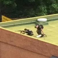 Herido niño de 16 años por represión en Venezuela