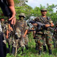 PanAm Podcast: implementación exprés del acuerdo Santos-FARC pone a Colombia al nivel de Venezuela