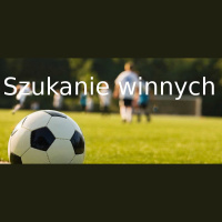 Szukanie winnych