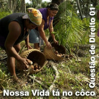 QueDireito #01 - Nossa vida tá no coco