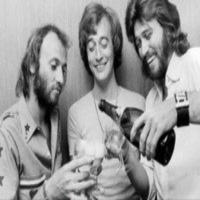 The Bee-Gees Radiodocumental