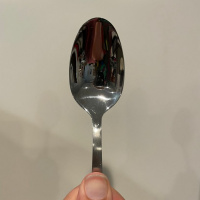 Caregivers Instinctive Travels and the Paths of Spoon Theory
