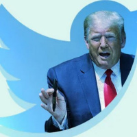 100 Days Til the US Election: What Is The Reality?