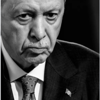 Authoritarian Democracy: Erdogan and the Turkish Paradigm