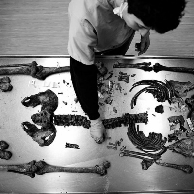 Frdh Podcast With Michael Goldfarb