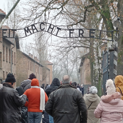 Frdh Podcast With Michael Goldfarb