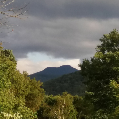 Frdh Podcast With Michael Goldfarb