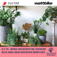 Improve Your Recovery Time, Respiratory Health, Mood amp Brain Function With Indoor Plants