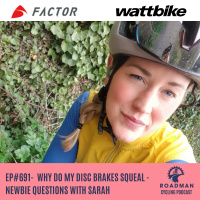Why Do My Disc Brakes Squeal - Newbie Questions With Sarah