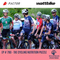 The Cycling Nutrition Puzzle: Lessons Learned from Experts and My Personal Approach