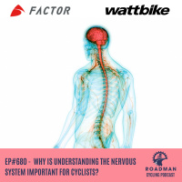 Why Is Understanding The Nervous System Important For Cyclists? 