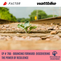 Bouncing Forward: Discovering the Power of Resilience