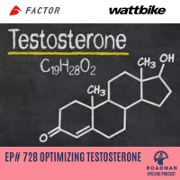 Optimising Testosterone: Strategies for Boosting Energy, Strength, and Vitality