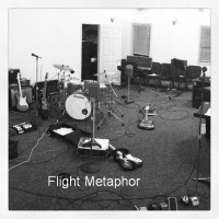 Episode 187 - Flight Metaphor