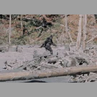 Episode 274 - Bigfoot, Sasquatch, Yeti. Cryptozoology Chat with Wayne, Brad, Quinn and Brian.