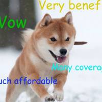 PGP, Mesh Nets, and Riots in the Streets