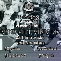 8x11 Veni, Vidi, Vinicius