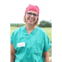 Karen Phillips (UltraDent) Passion in People