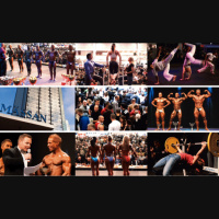 Stort söndagsavsnitt från Fitnessfestivalen