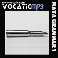 3c Gramatica inglesa - Pasado continuo