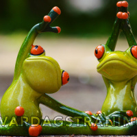 Att träna som en Närking