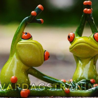 Rasmus Lär Sig Sverige